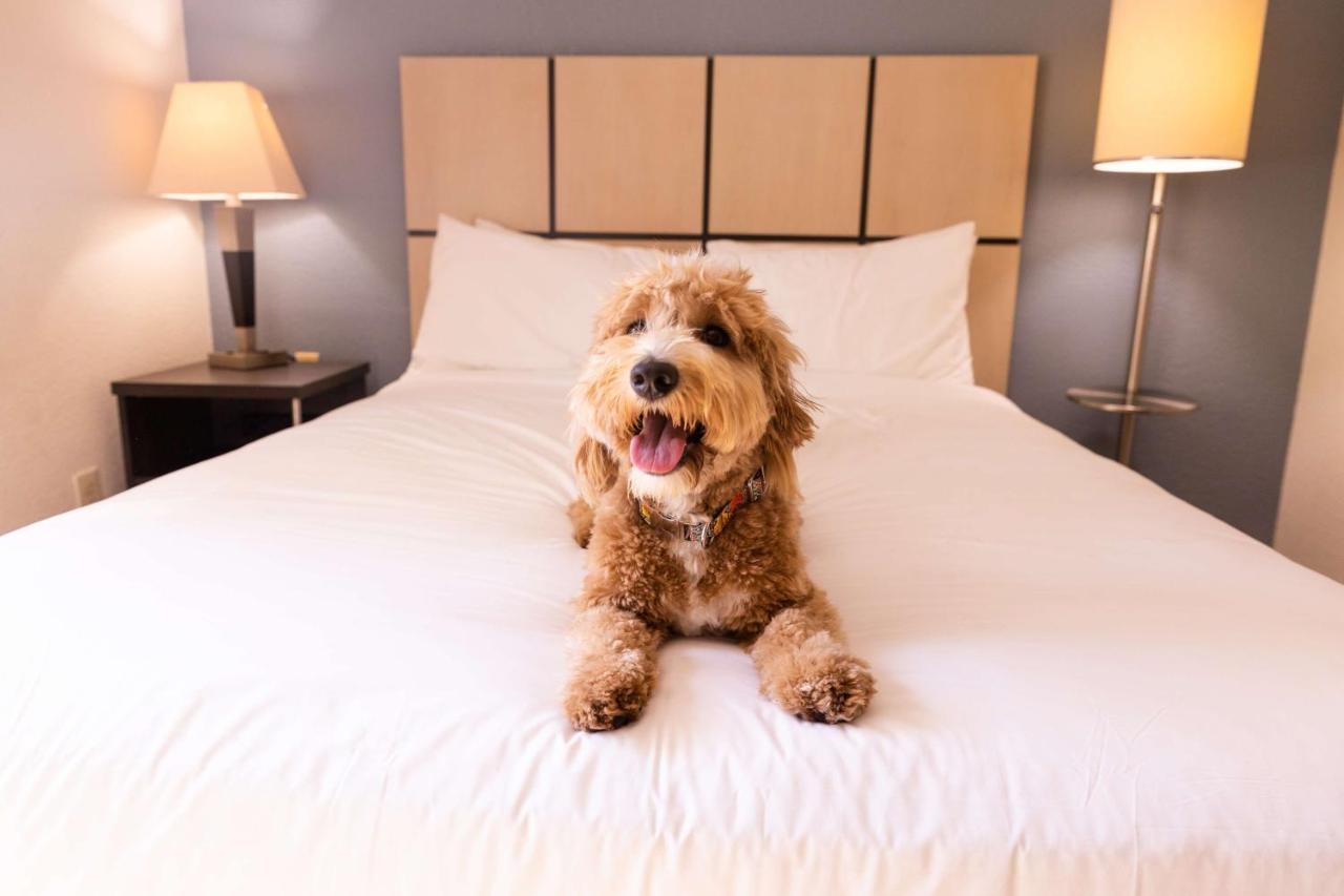 Sonesta Simply Suites Plano Frisco Buitenkant foto